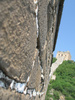 The Wall