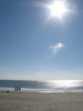 Oak Island