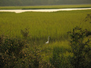Dutchman Creek