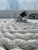 Ferry Rope
