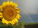 North Dakota