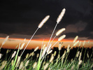 North Dakota