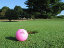 Pink Golf Ball