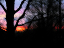 Sky was being funny.
