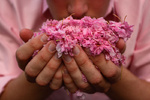 Smells great!