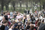 Bubbles