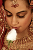 Indian Wedding