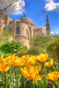 National Basilica